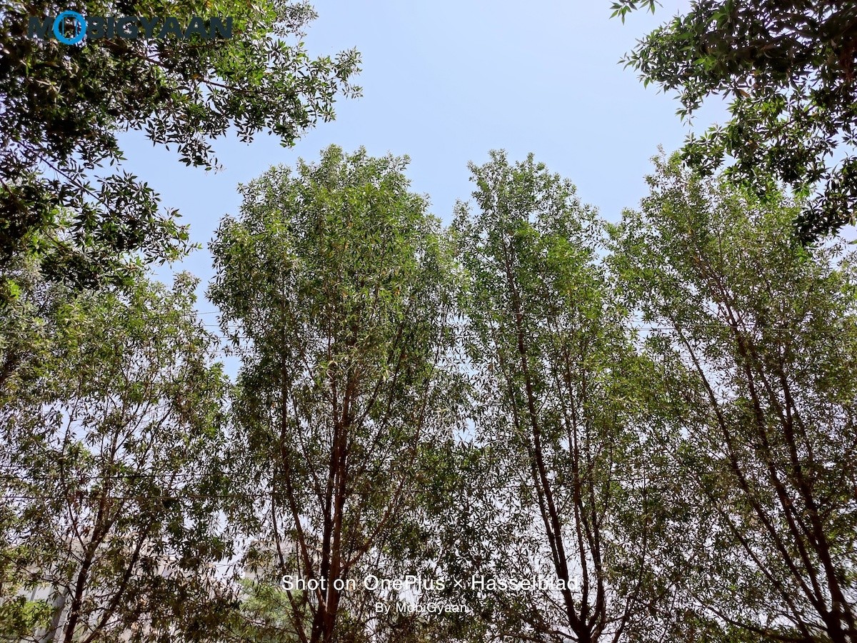 OnePlus 9 5G Review 48 MP Camera Samples 14