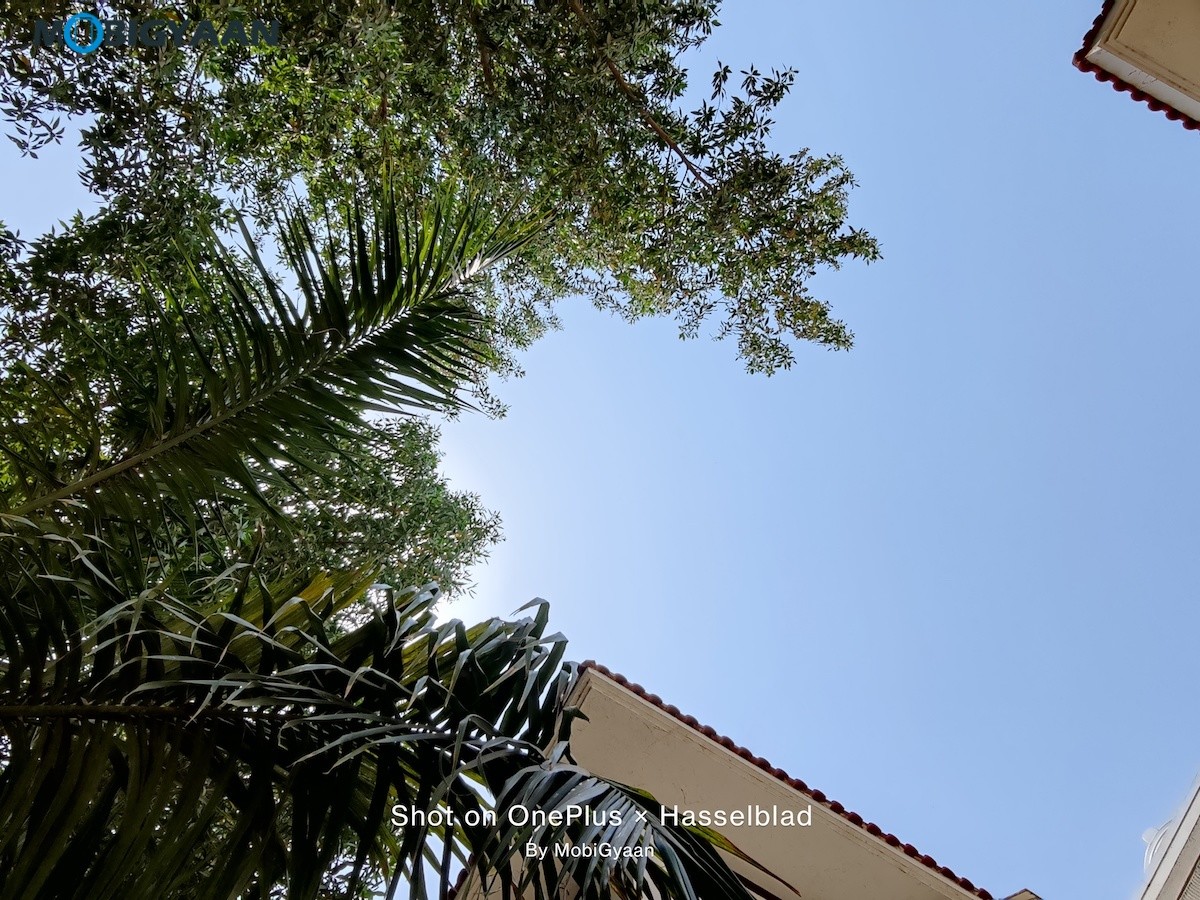 OnePlus 9 5G Review 48 MP Camera Samples 8