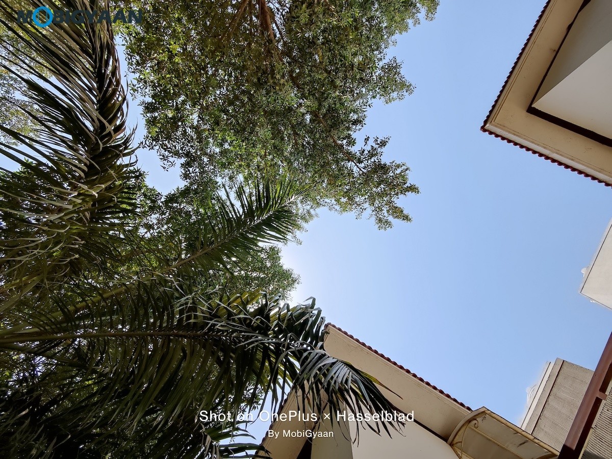 OnePlus 9 5G Review 48 MP Camera Samples 9