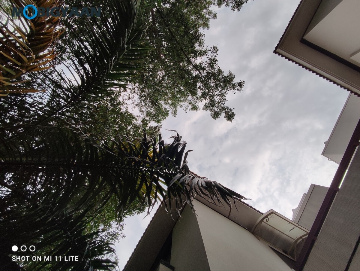 Xiaomi Mi 11 Lite Review Camera Samples 2