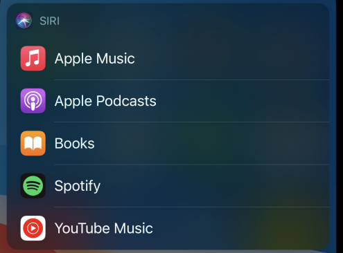 Apple iPhone Siri Music Streaming App