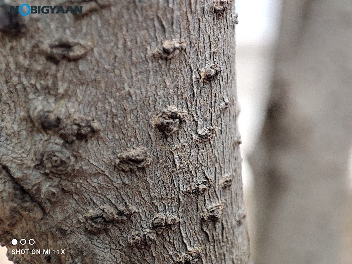 Xiaomi Mi 11X Camera Samples Review 12