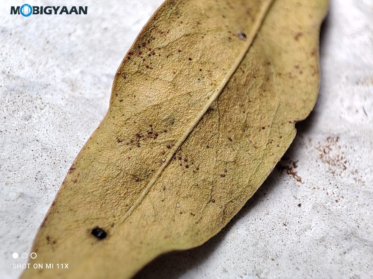 Xiaomi Mi 11X Camera Samples Review 13