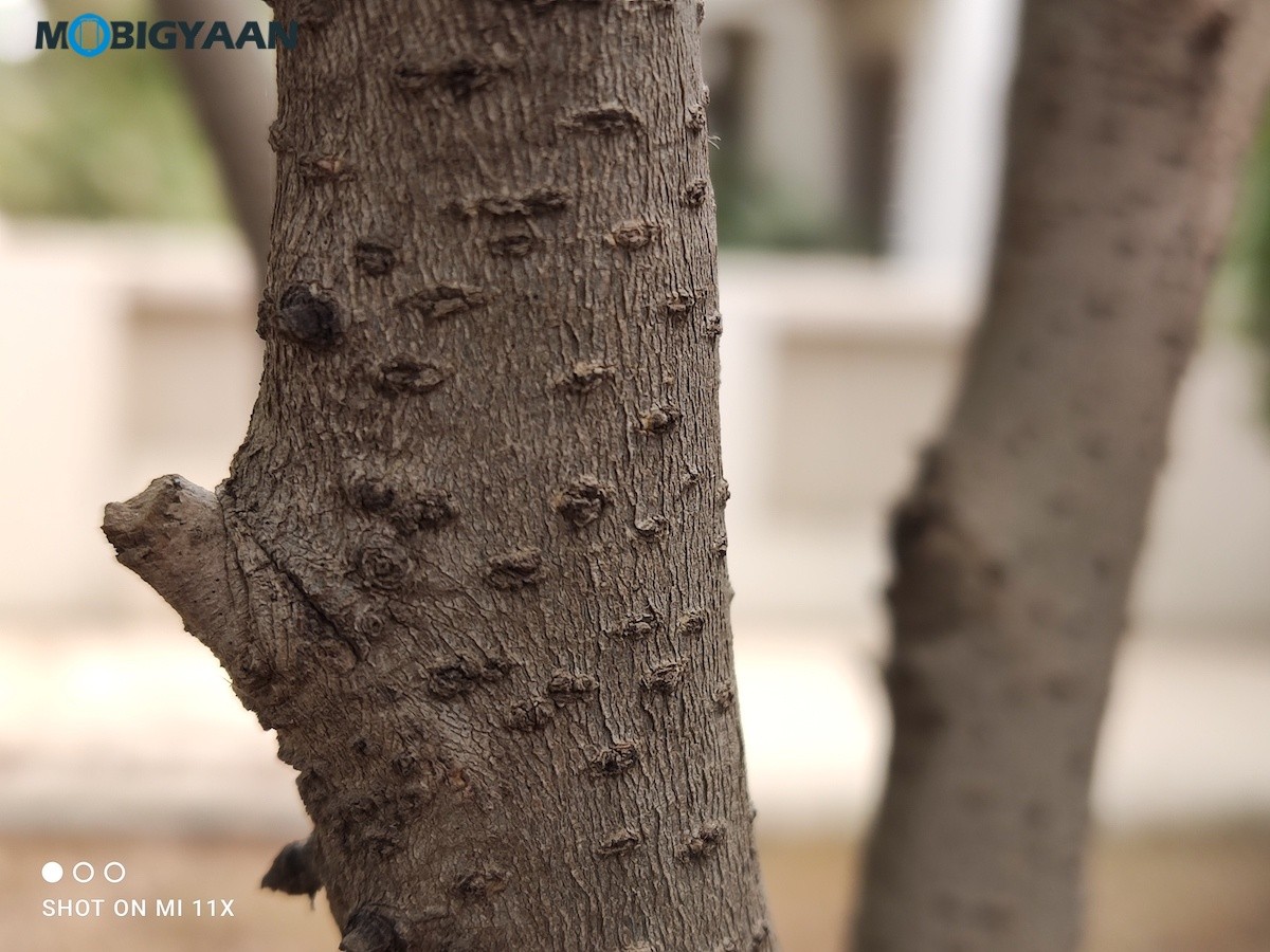 Xiaomi Mi 11X Camera Samples Review 14