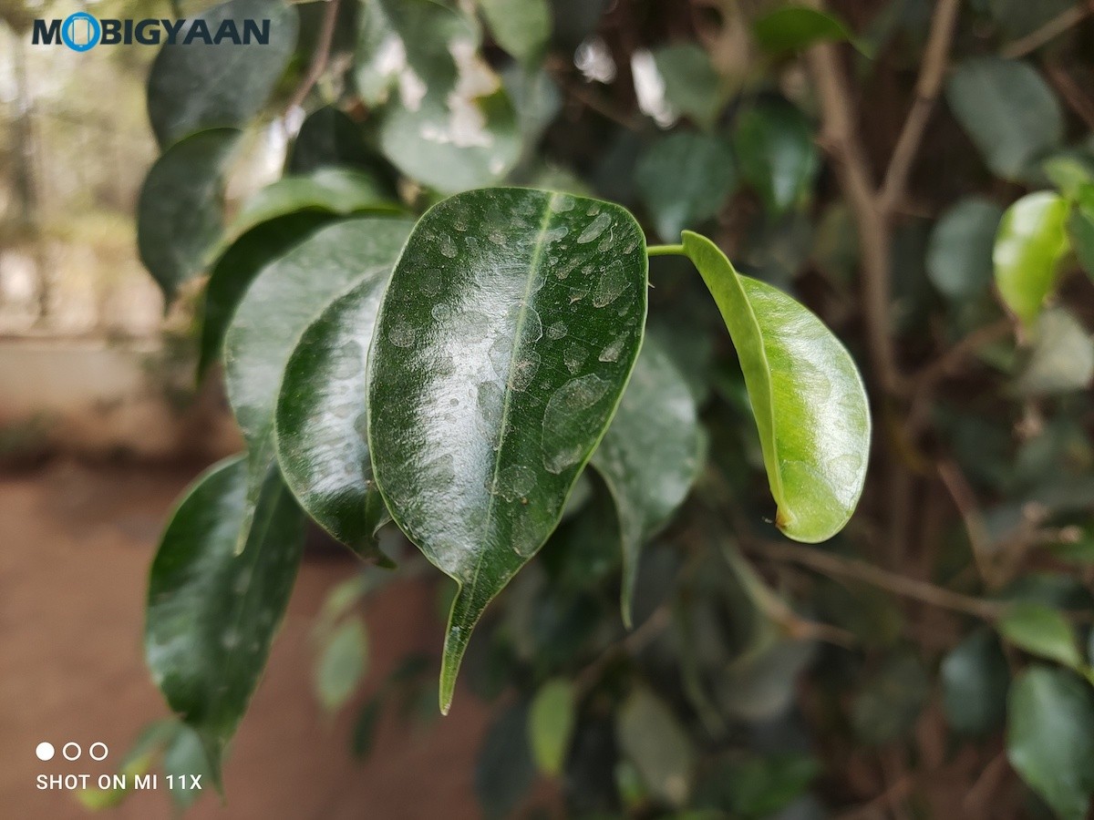 Xiaomi Mi 11X Camera Samples Review 3