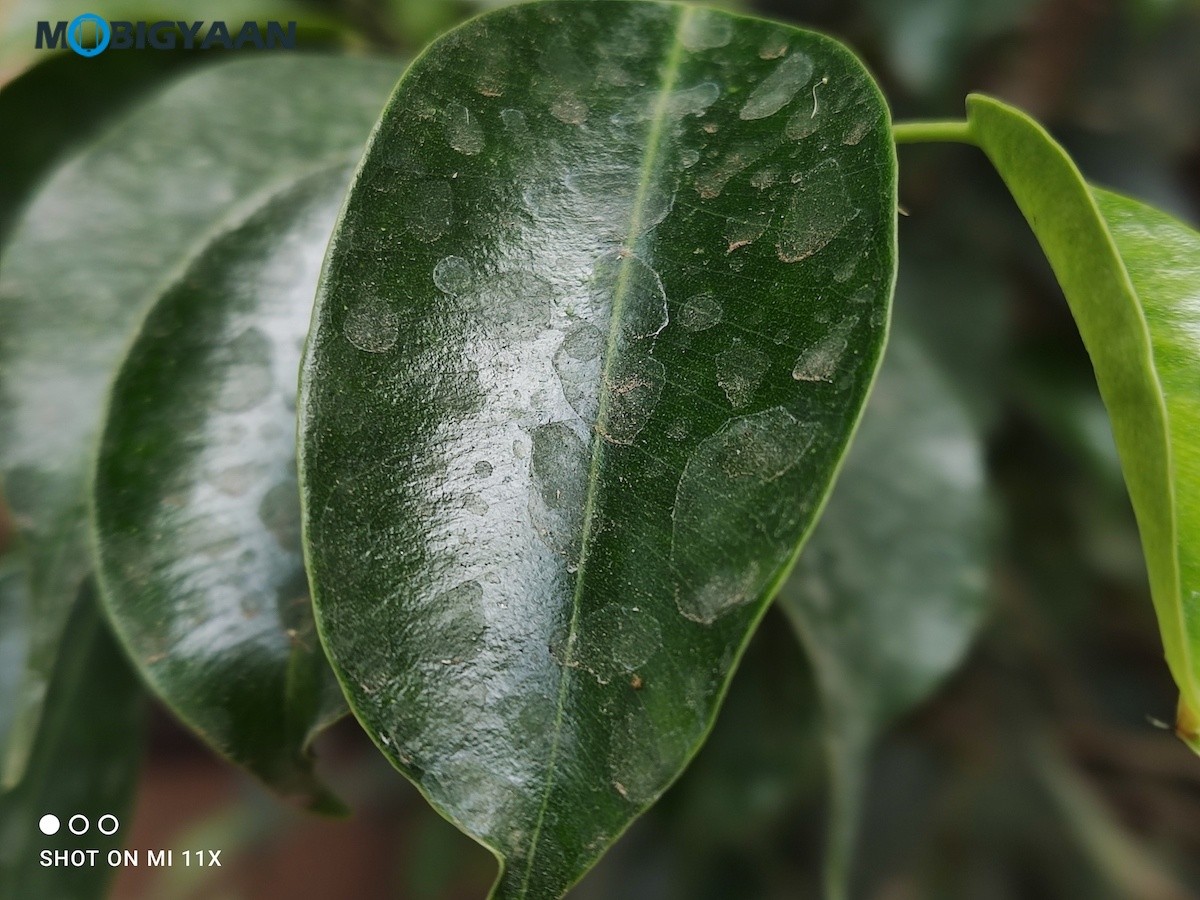 Xiaomi Mi 11X Camera Samples Review 4