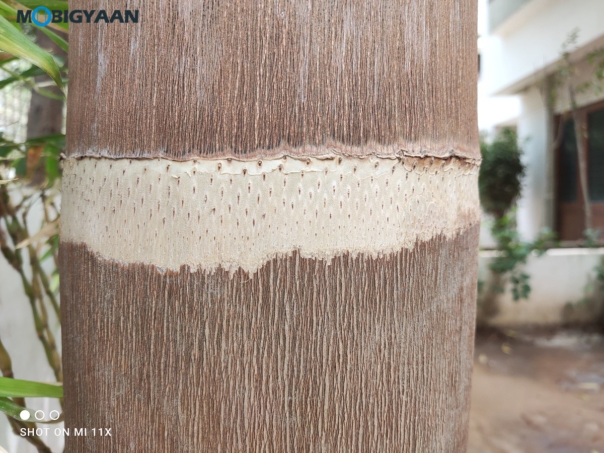 Xiaomi Mi 11X Camera Samples Review 7