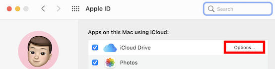 iCloud Folder Sync 3 e1620018620780