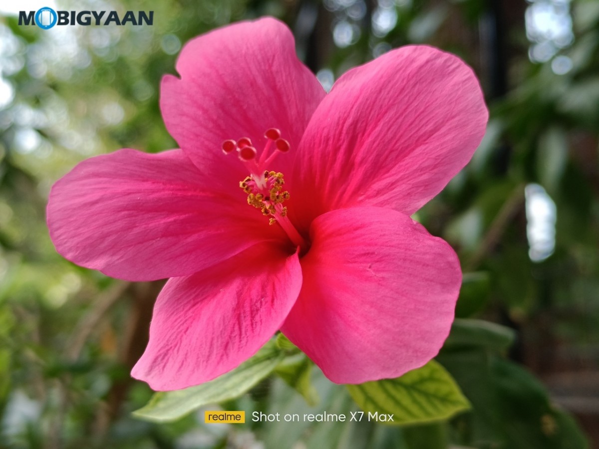 realme X7 Max Camera Samples Review 10