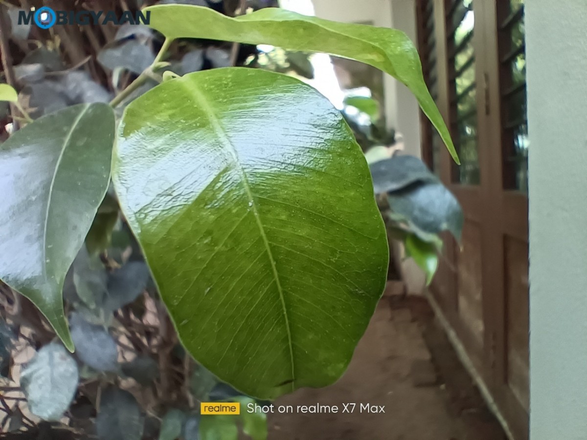 realme X7 Max Camera Samples Review 6