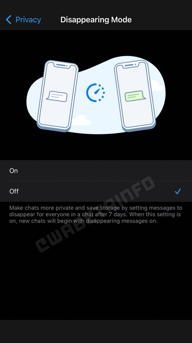 WhatsApp Disappearing Mode