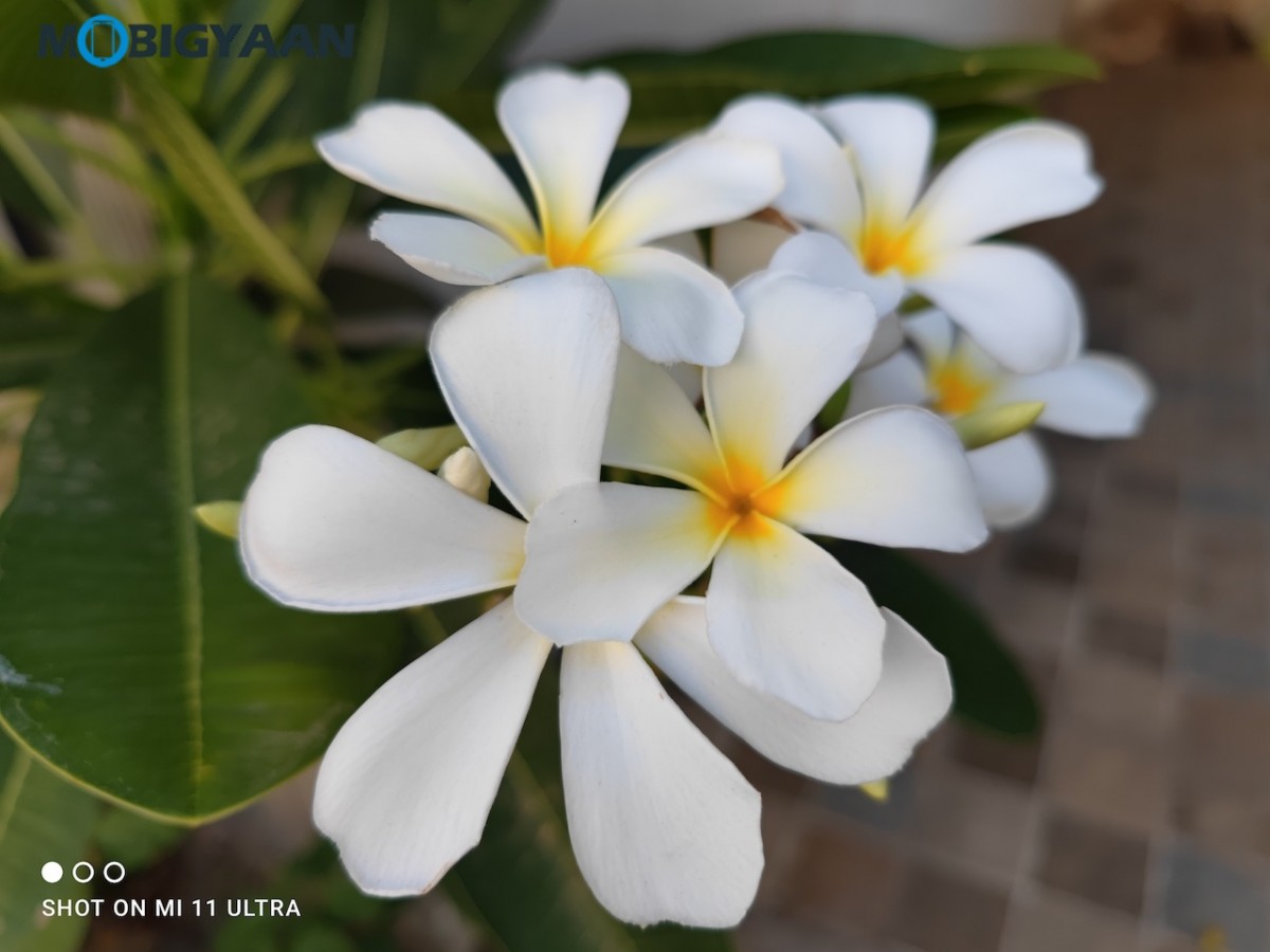 Xiaomi Mi 11 Ultra Camera Review Samples 12