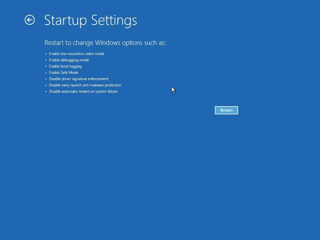 Windows 11 Startup Options