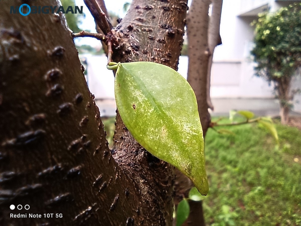 Xiaomi Redmi Note 10T Review 48 MP Camera Samples 1