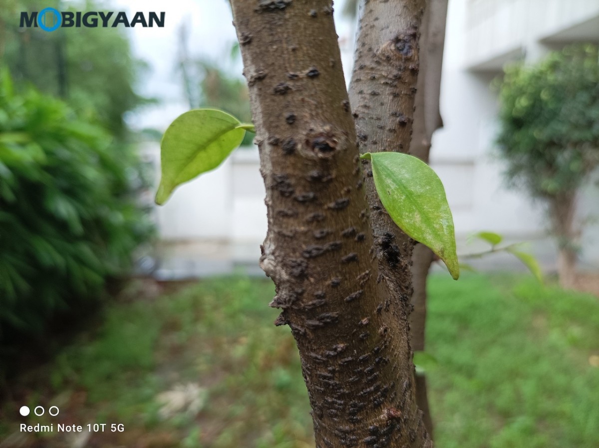 Xiaomi Redmi Note 10T Review 48 MP Camera Samples 2