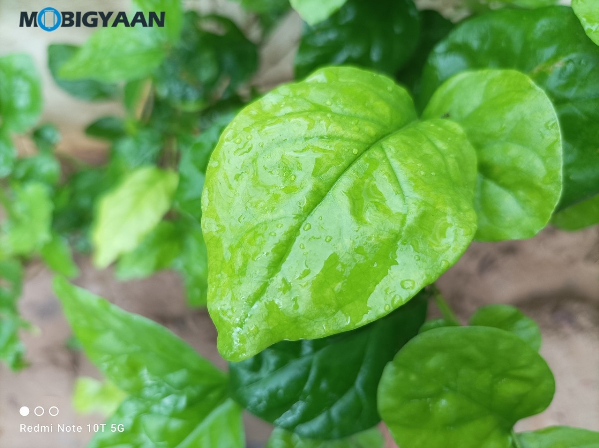 Xiaomi Redmi Note 10T Review 48 MP Camera Samples 3