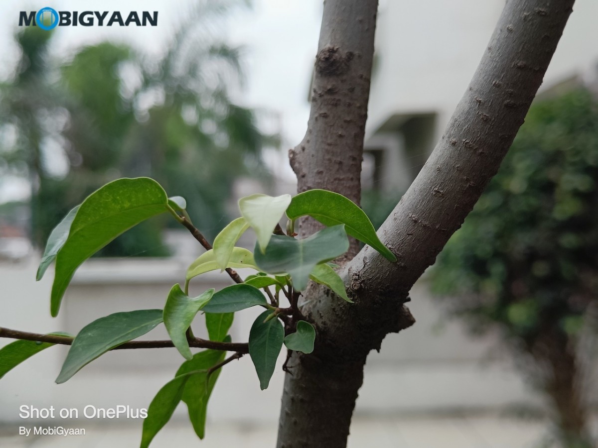 OnePlus Nord 2 5G Review 50MP Camera Samples 4