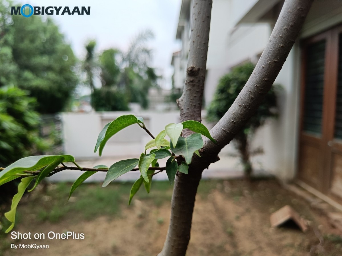 OnePlus Nord 2 5G Review 50MP Camera Samples 5