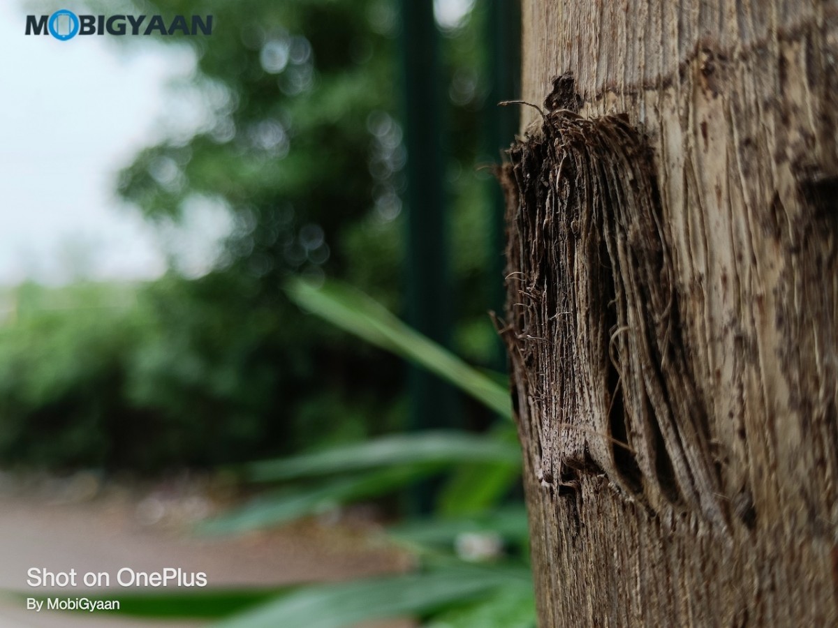 OnePlus Nord 2 5G Review 50MP Camera Samples 9