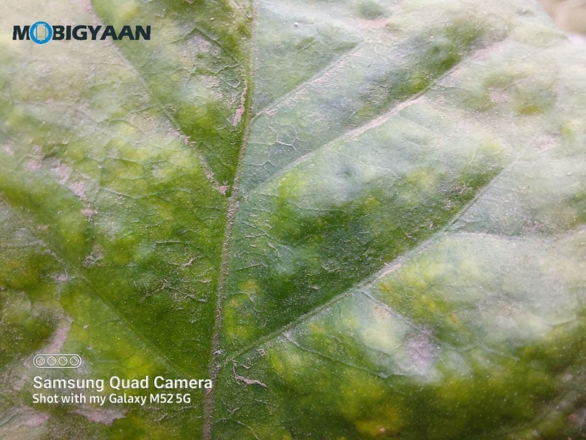 Samsung Galaxy M52 5G Review Camera Samples 6