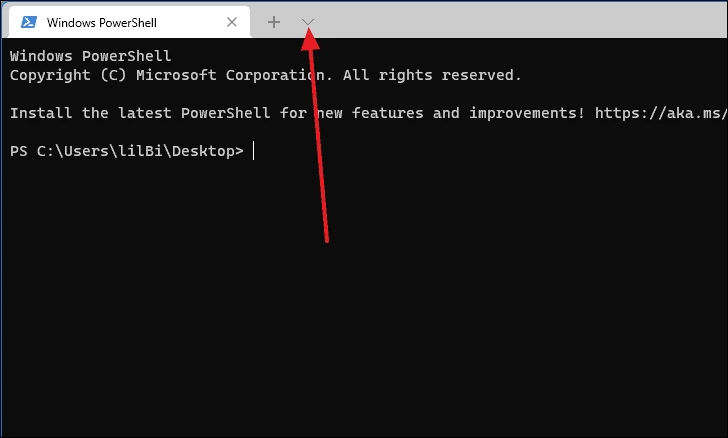 Windows Terminal as Default in Windows 11