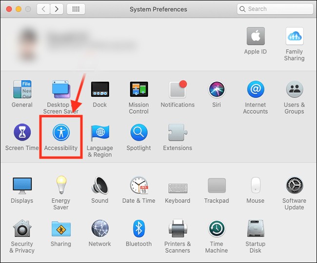 Enable Voice Control in macOS