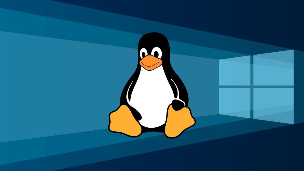Windows WSL Linux
