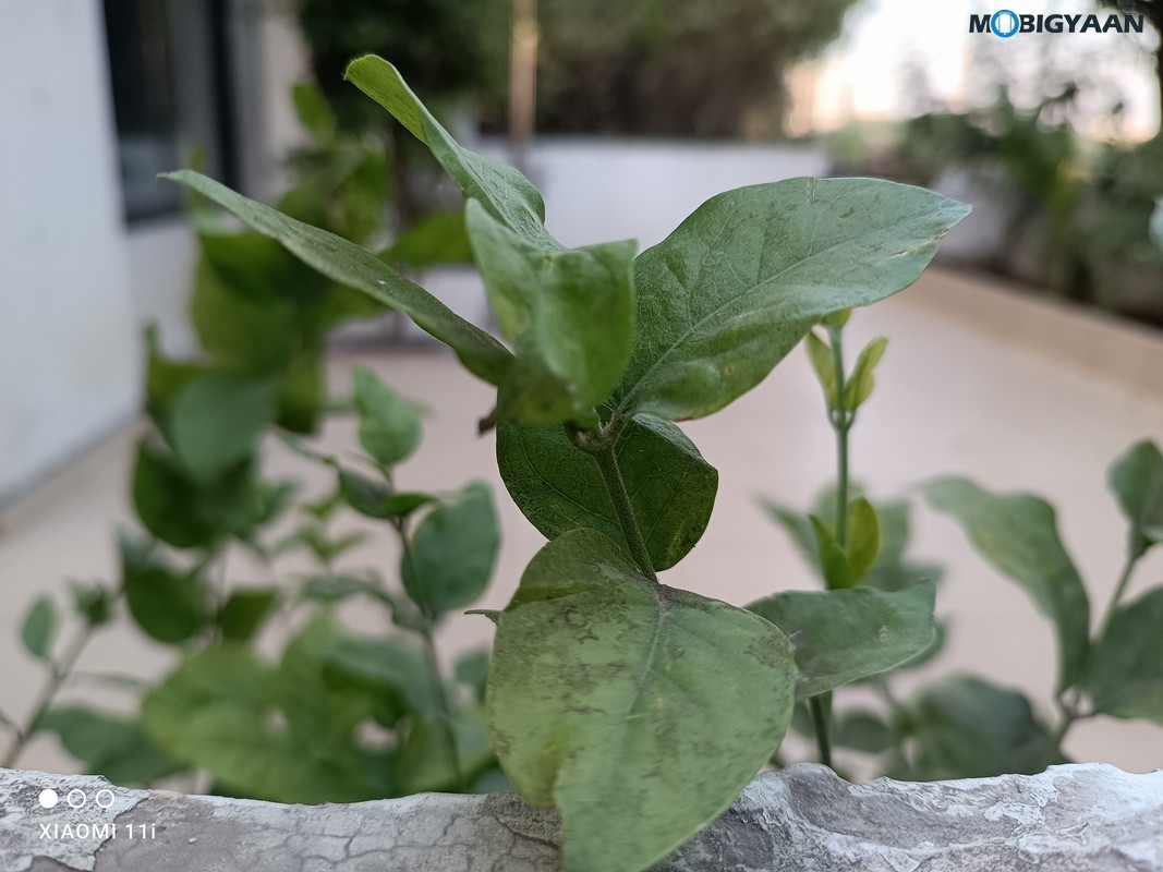 Xiaomi 11i 5G Review Camera Samples 2