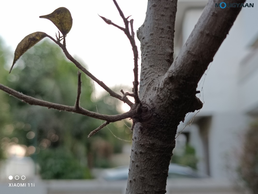 Xiaomi 11i 5G Review Camera Samples 5