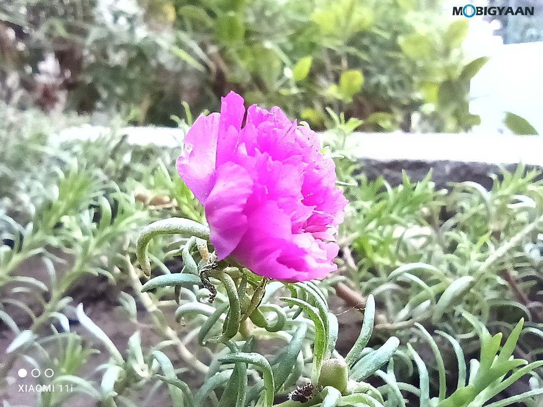 Xiaomi 11i 5G Review Camera Samples 6