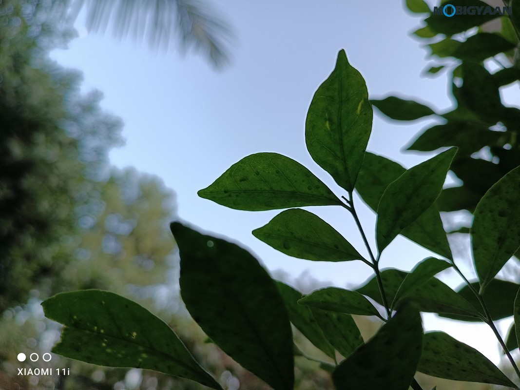 Xiaomi 11i 5G Review Camera Samples 9