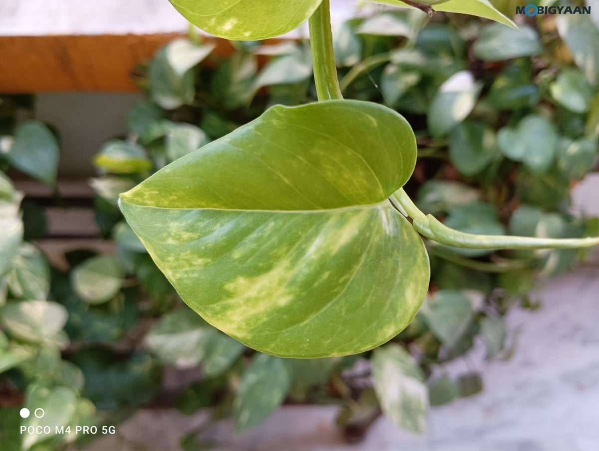 POCO M4 Pro Review Camera Samples 3