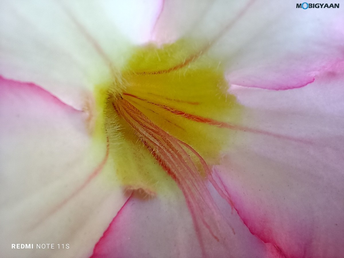 Redmi Note 11S Review Camera Samples 12