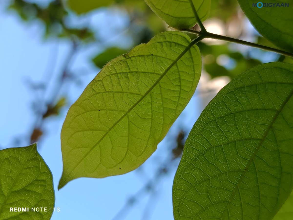 Redmi Note 11S Review Camera Samples 3