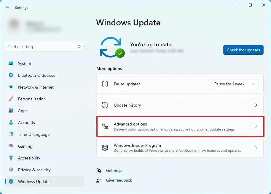 Download and Install Optional Updates in Windows 11