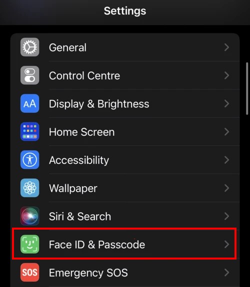 Apple iPhone Face ID with a Mask