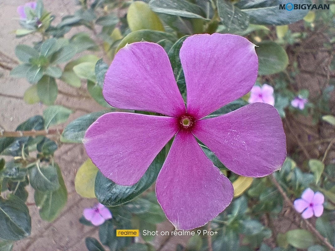 realme 9 Pro Plus 5G Review Camera Samples 14