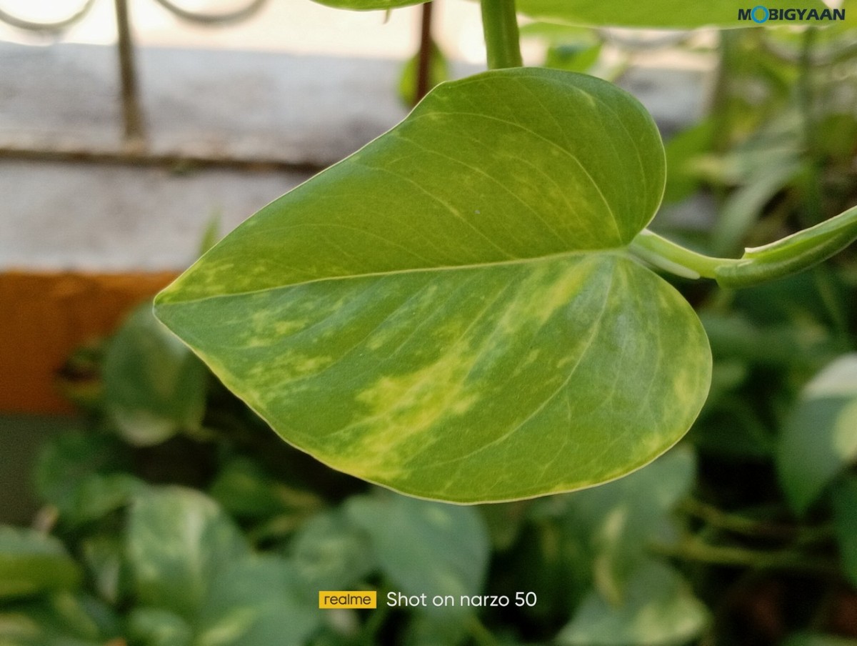 realme Narzo 50 Review Camera Samples 2