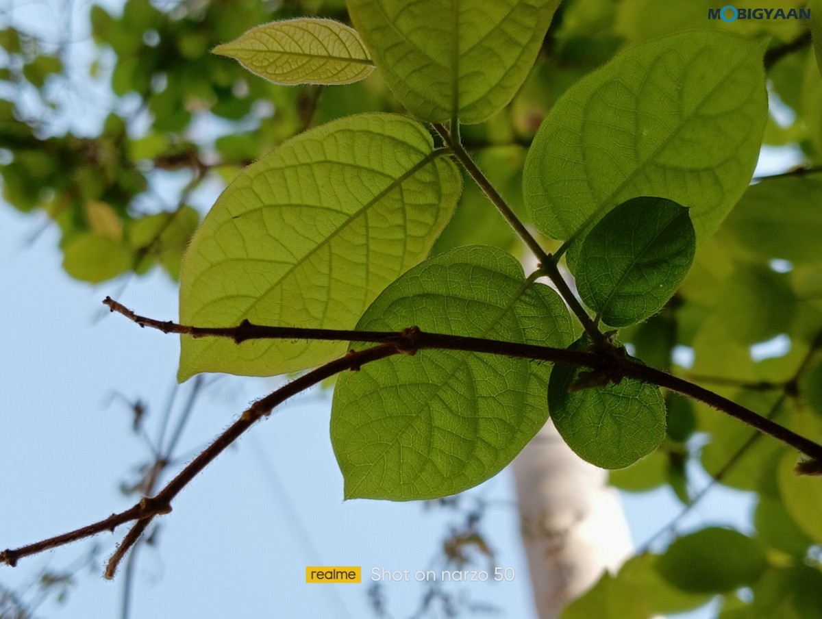 realme Narzo 50 Review Camera Samples 3