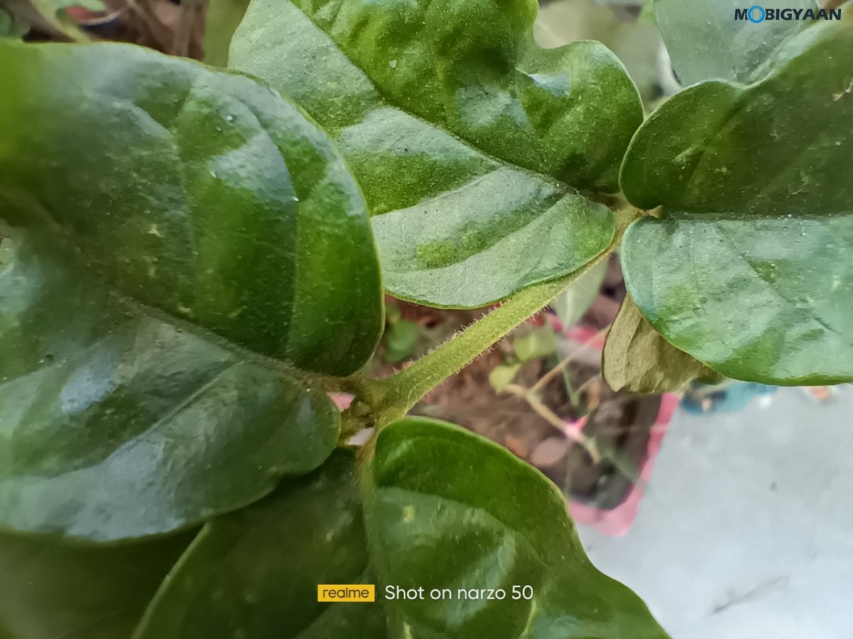 realme Narzo 50 Review Camera Samples 6