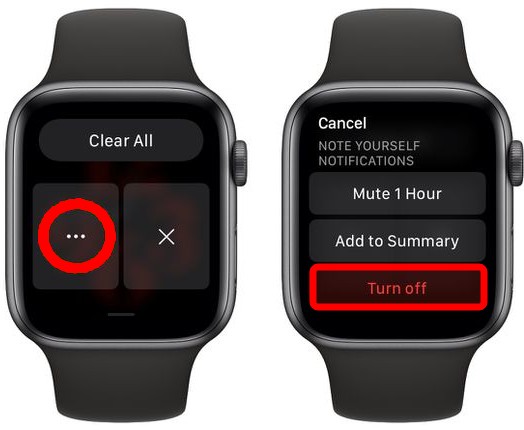 Disable Apple Watch Notifications