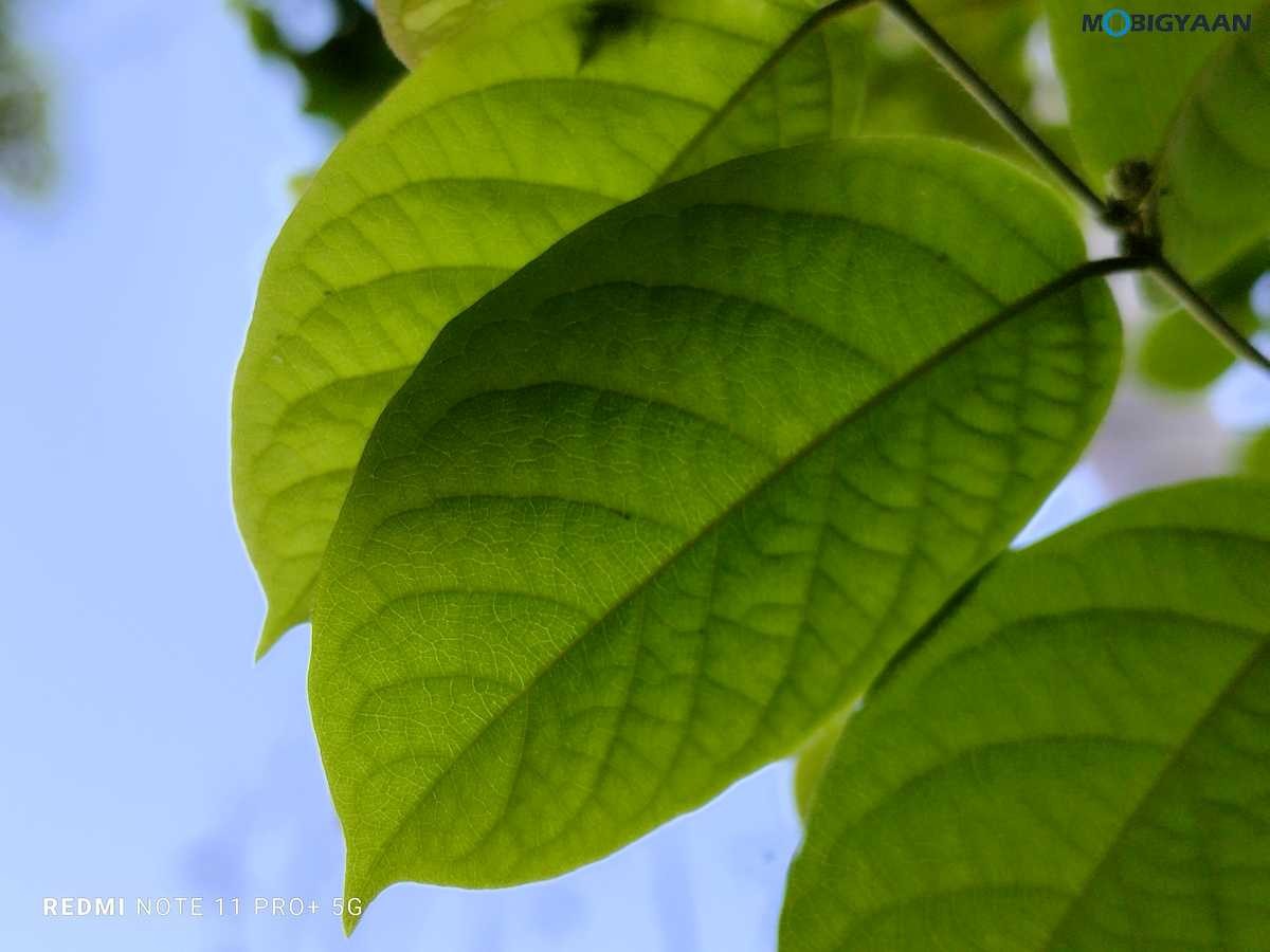 Redmi Note 11 Pro Plus 5G Review Camera Samples 2
