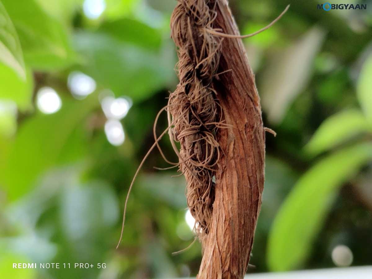 Redmi Note 11 Pro Plus 5G Review Camera Samples 3