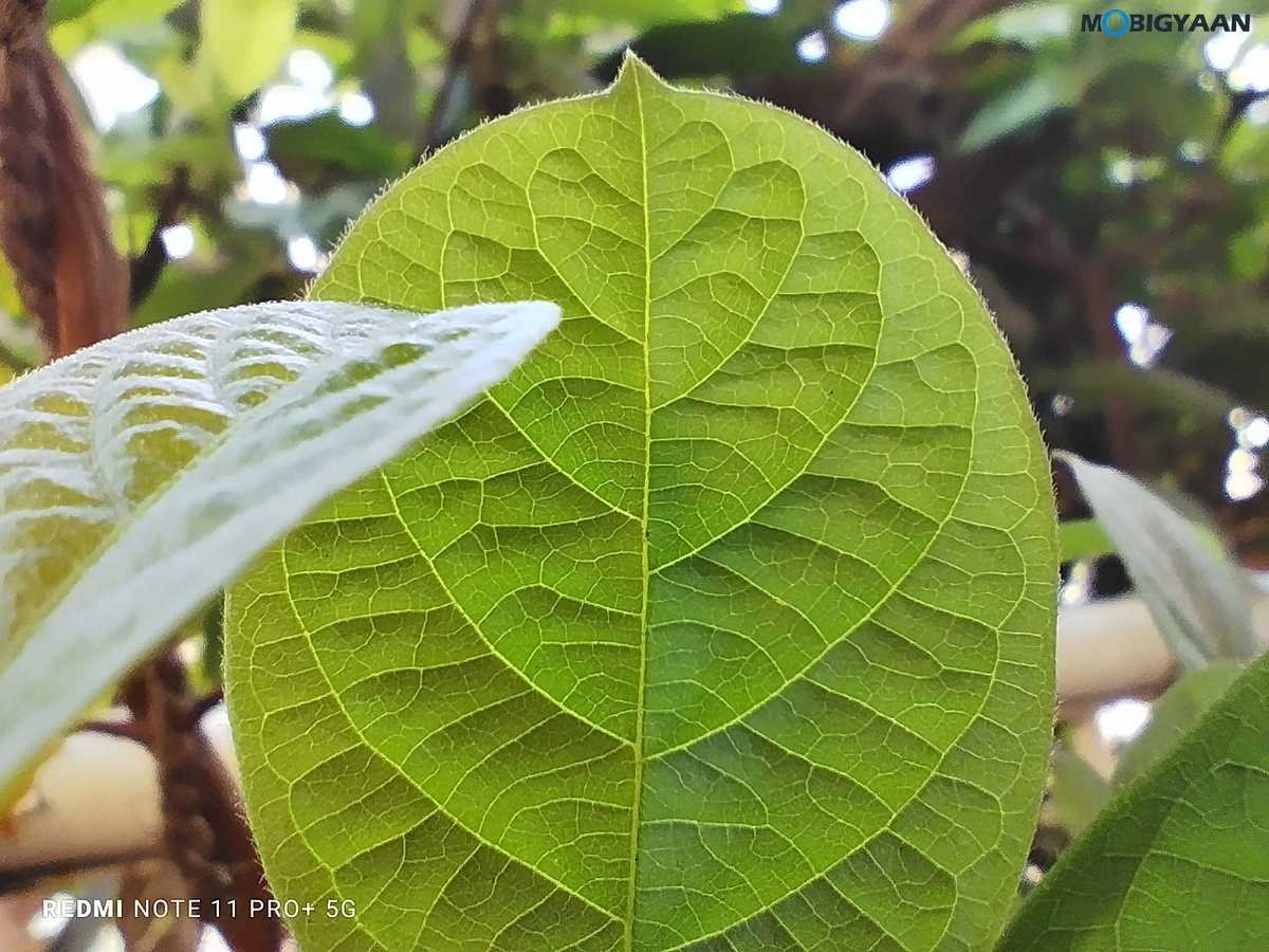 Redmi Note 11 Pro Plus 5G Review Camera Samples 4