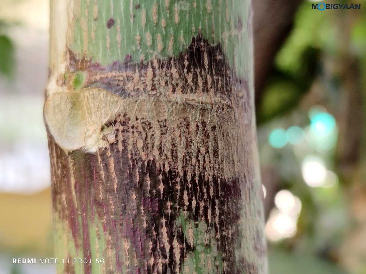 Redmi Note 11 Pro Plus 5G Review Camera Samples 6