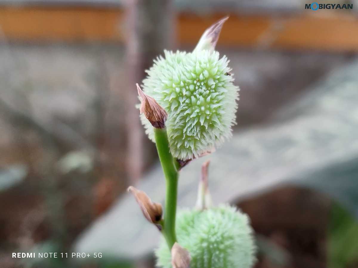 Redmi Note 11 Pro Plus 5G Review Camera Samples 7