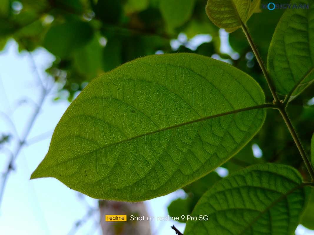 realme 9 Pro 5G Review Camera Samples 3