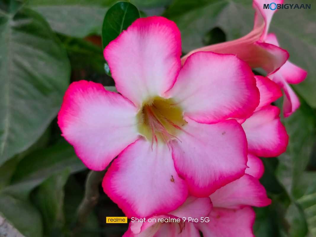 realme 9 Pro 5G Review Camera Samples 7