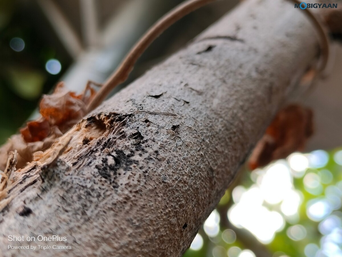 OnePlus Nord CE 2 Lite 5G Review Camera Samples 7