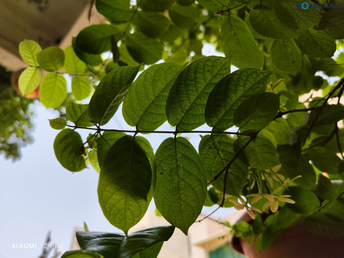 Xiaomi 12 Pro 5G Review Camera Photos 08